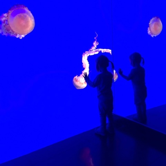 Meet your Posher, Emily - Picture 1 of 1